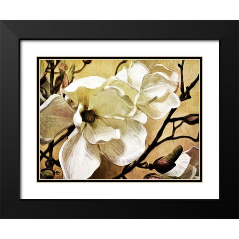 Majestic Magnolia Black Modern Wood Framed Art Print with Double Matting by Aldridge, Ashley