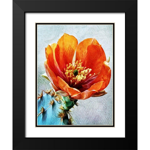 Blood Orange Beauty II Black Modern Wood Framed Art Print with Double Matting by Aldridge, Ashley
