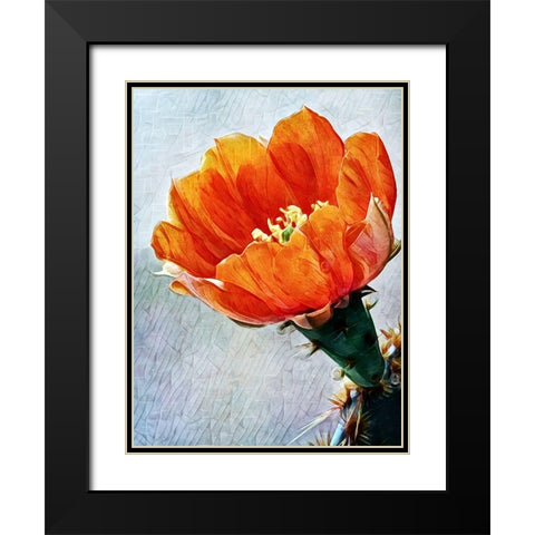 Blood Orange Beauty I Black Modern Wood Framed Art Print with Double Matting by Aldridge, Ashley