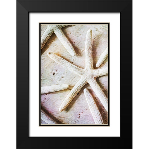 Seashells on Sand  Starfish on Land II Black Modern Wood Framed Art Print with Double Matting by Aldridge, Ashley
