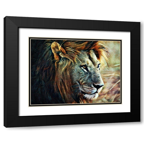 Lion Stalking Prey Black Modern Wood Framed Art Print with Double Matting by Aldridge, Ashley