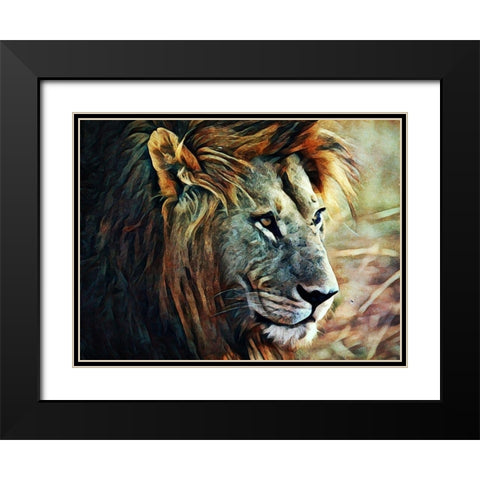 Lion Stalking Prey Black Modern Wood Framed Art Print with Double Matting by Aldridge, Ashley