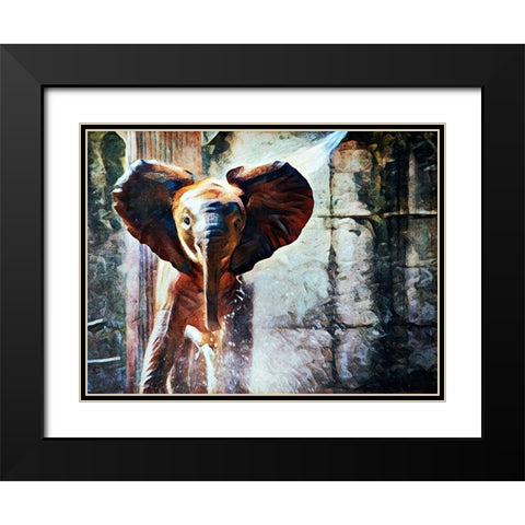 Baby African Elephant Hose Down Black Modern Wood Framed Art Print with Double Matting by Aldridge, Ashley