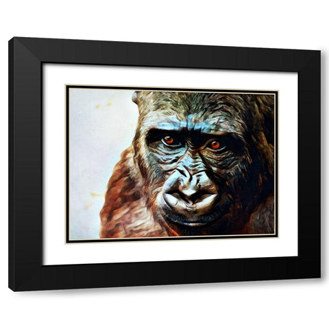 Gorilla Gazing Graciously Black Modern Wood Framed Art Print with Double Matting by Aldridge, Ashley
