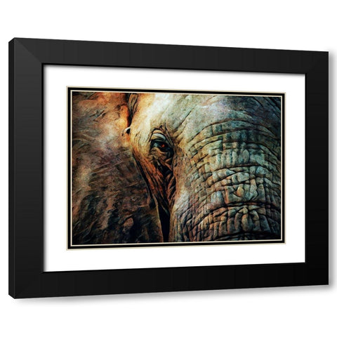 African Elephant Wise Eyes Black Modern Wood Framed Art Print with Double Matting by Aldridge, Ashley