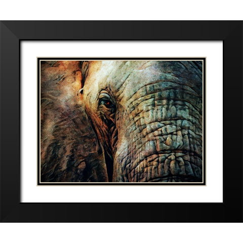 African Elephant Wise Eyes Black Modern Wood Framed Art Print with Double Matting by Aldridge, Ashley