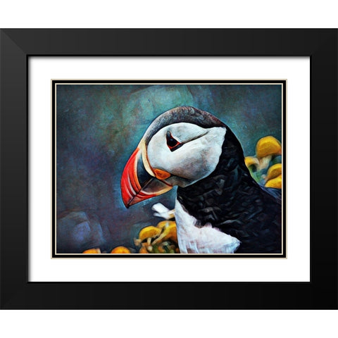 Atlantic Puffin Peculiar Black Modern Wood Framed Art Print with Double Matting by Aldridge, Ashley