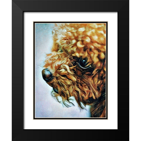 Apricot Toy Poodle Puff Black Modern Wood Framed Art Print with Double Matting by Aldridge, Ashley