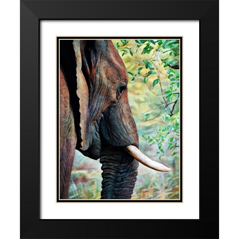African Elephant Always Listening Black Modern Wood Framed Art Print with Double Matting by Aldridge, Ashley