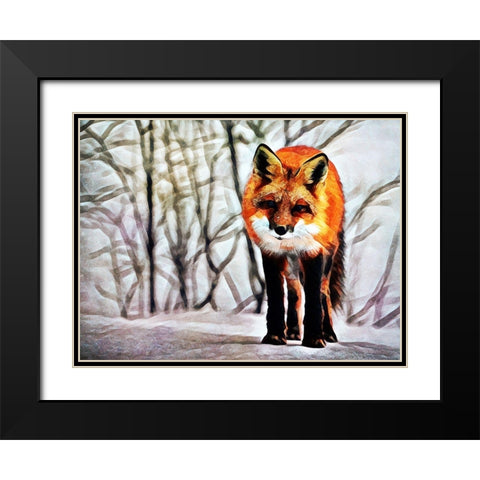 Red Fox Fascination Black Modern Wood Framed Art Print with Double Matting by Aldridge, Ashley