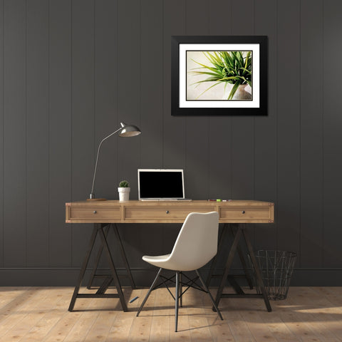 White Potted Plant Black Modern Wood Framed Art Print with Double Matting by Aldridge, Ashley