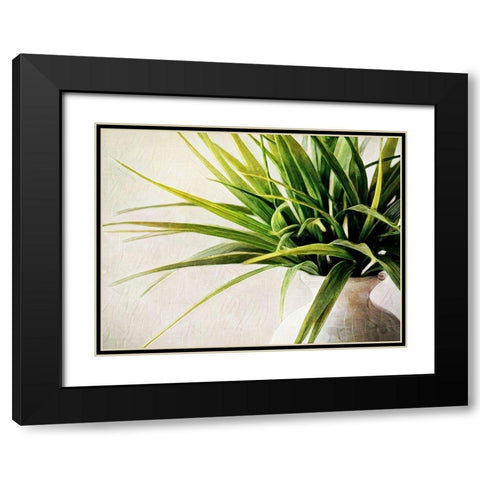 White Potted Plant Black Modern Wood Framed Art Print with Double Matting by Aldridge, Ashley