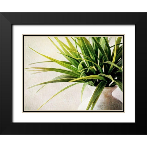 White Potted Plant Black Modern Wood Framed Art Print with Double Matting by Aldridge, Ashley