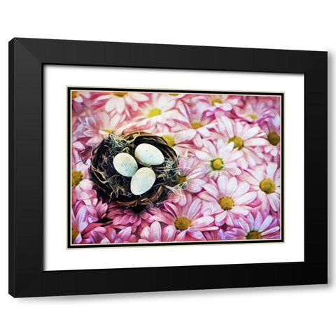 Nested On Daisies Black Modern Wood Framed Art Print with Double Matting by Aldridge, Ashley