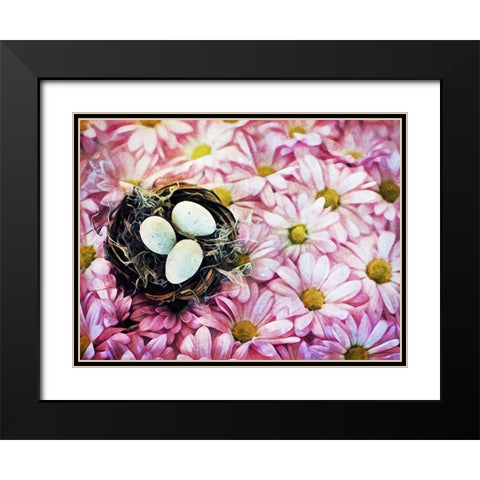 Nested On Daisies Black Modern Wood Framed Art Print with Double Matting by Aldridge, Ashley