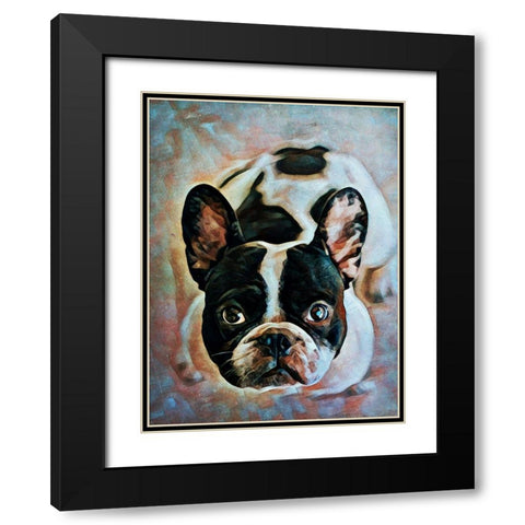 French Bulldog Fixation Black Modern Wood Framed Art Print with Double Matting by Aldridge, Ashley