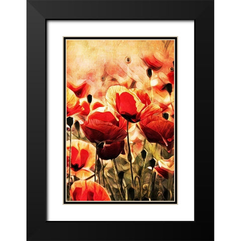 Poppy Fields In Focus II Black Modern Wood Framed Art Print with Double Matting by Aldridge, Ashley
