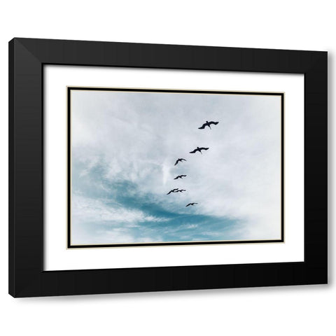 Beach Birds Flying Black Modern Wood Framed Art Print with Double Matting by Curinga, Kim