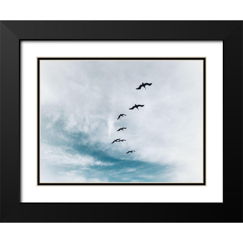 Beach Birds Flying Black Modern Wood Framed Art Print with Double Matting by Curinga, Kim