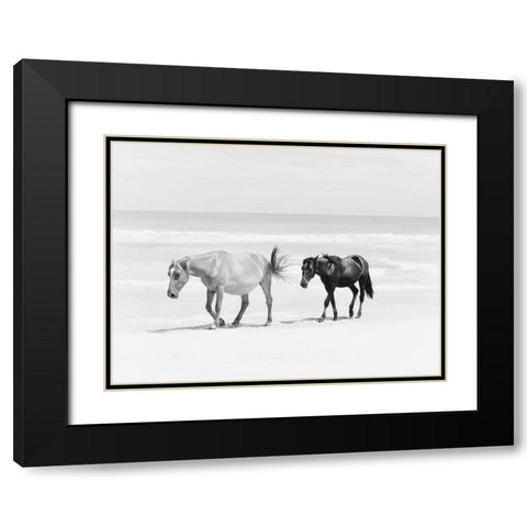 Beach Horse Duo Black Modern Wood Framed Art Print with Double Matting by Curinga, Kim