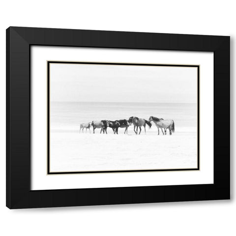 Corolla Beach Horses Black Modern Wood Framed Art Print with Double Matting by Curinga, Kim