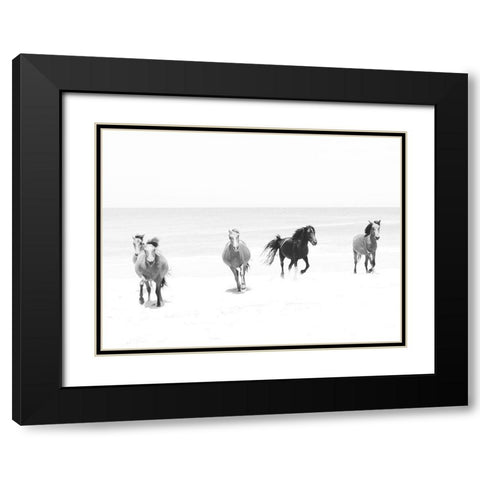 Beach Horses Running Black Modern Wood Framed Art Print with Double Matting by Curinga, Kim