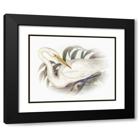Sentimental Plumage II Black Modern Wood Framed Art Print with Double Matting by Hunziker, Steve