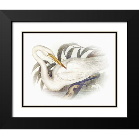 Sentimental Plumage II Black Modern Wood Framed Art Print with Double Matting by Hunziker, Steve