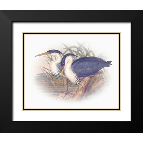 Sentimental Plumage III Black Modern Wood Framed Art Print with Double Matting by Hunziker, Steve