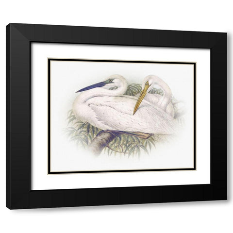 Sentimental Plumage IV Black Modern Wood Framed Art Print with Double Matting by Hunziker, Steve