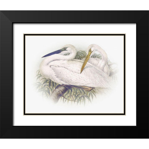 Sentimental Plumage IV Black Modern Wood Framed Art Print with Double Matting by Hunziker, Steve