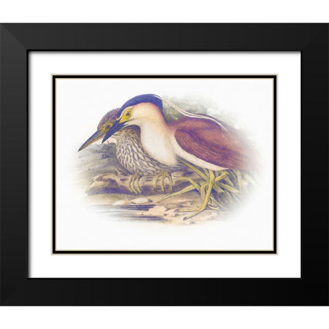 Sentimental Plumage V Black Modern Wood Framed Art Print with Double Matting by Hunziker, Steve