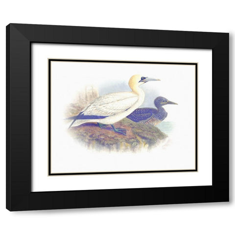 Sentimental Plumage VI Black Modern Wood Framed Art Print with Double Matting by Hunziker, Steve