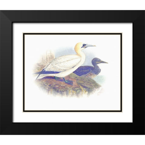 Sentimental Plumage VI Black Modern Wood Framed Art Print with Double Matting by Hunziker, Steve