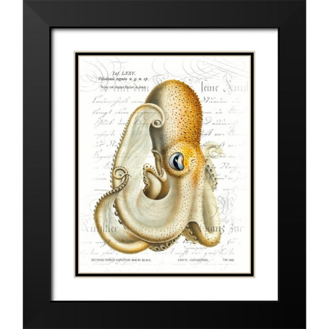 Octopus I Black Modern Wood Framed Art Print with Double Matting by Hunziker, Steve