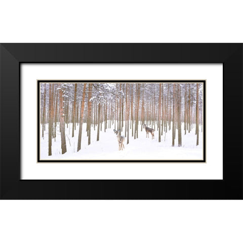 Wintry Partners Black Modern Wood Framed Art Print with Double Matting by Hunziker, Steve