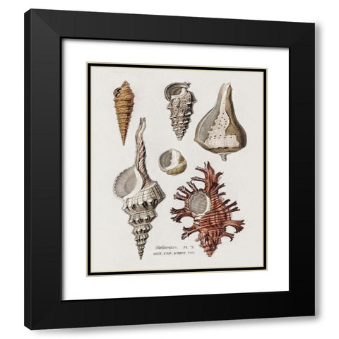 Repeating Image IV Black Modern Wood Framed Art Print with Double Matting by Hunziker, Steve