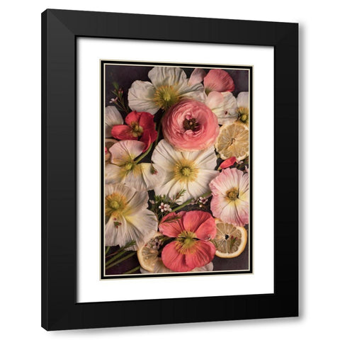 Petals and Zest Black Modern Wood Framed Art Print with Double Matting by Maclean, Leah