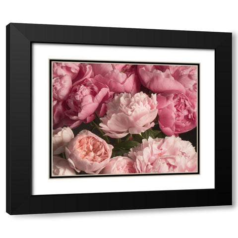 Pink Petals Black Modern Wood Framed Art Print with Double Matting by Maclean, Leah
