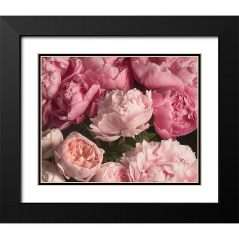 Pink Petals Black Modern Wood Framed Art Print with Double Matting by Maclean, Leah