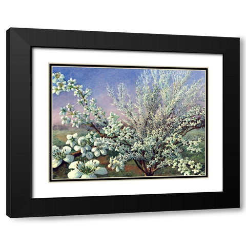 Fresh Tone Black Modern Wood Framed Art Print with Double Matting by Wang, John