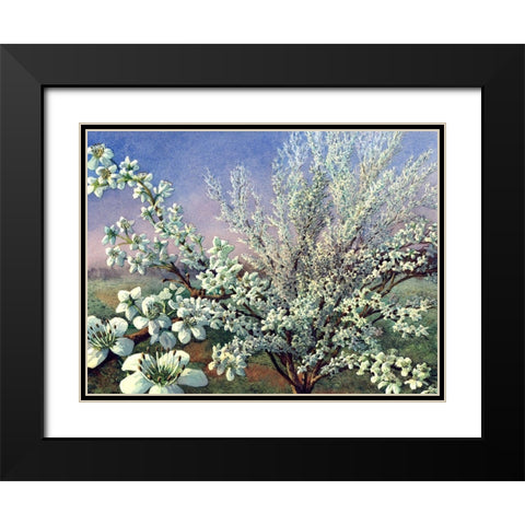 Fresh Tone Black Modern Wood Framed Art Print with Double Matting by Wang, John