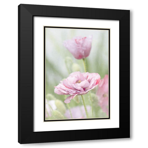 Two Poppies Black Modern Wood Framed Art Print with Double Matting by Stalus, Judy