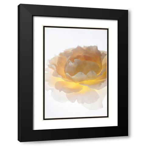 Luminance Black Modern Wood Framed Art Print with Double Matting by Stalus, Judy