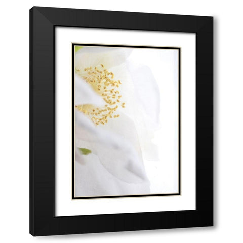 Gold Cup Black Modern Wood Framed Art Print with Double Matting by Stalus, Judy