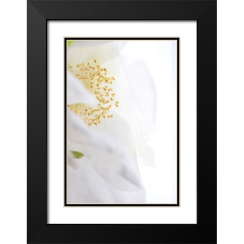 Gold Cup Black Modern Wood Framed Art Print with Double Matting by Stalus, Judy