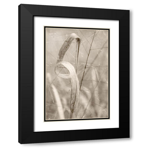 Meadow Grass Black Modern Wood Framed Art Print with Double Matting by Stalus, Judy