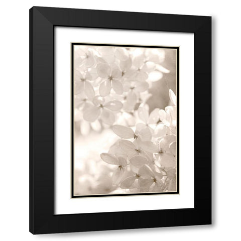 Sunlight Black Modern Wood Framed Art Print with Double Matting by Stalus, Judy