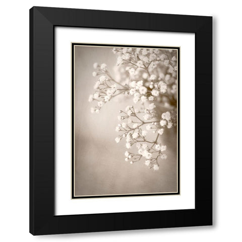 Cascade Black Modern Wood Framed Art Print with Double Matting by Stalus, Judy