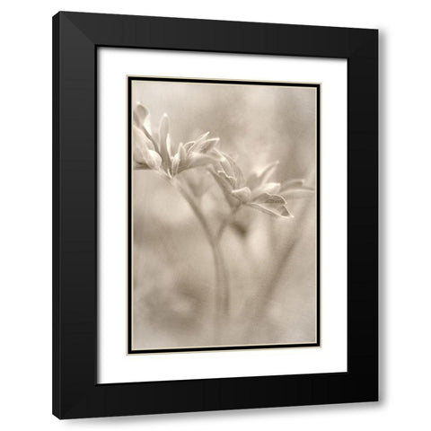 Summer II Black Modern Wood Framed Art Print with Double Matting by Stalus, Judy